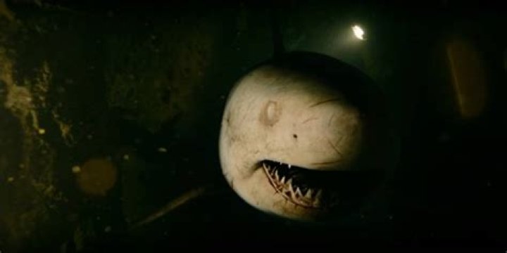 One of the blind sharks in a cave in 47 Meters Down Uncaged
