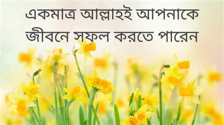 Only Allah can make you the luckiest among his creation. Islamic
