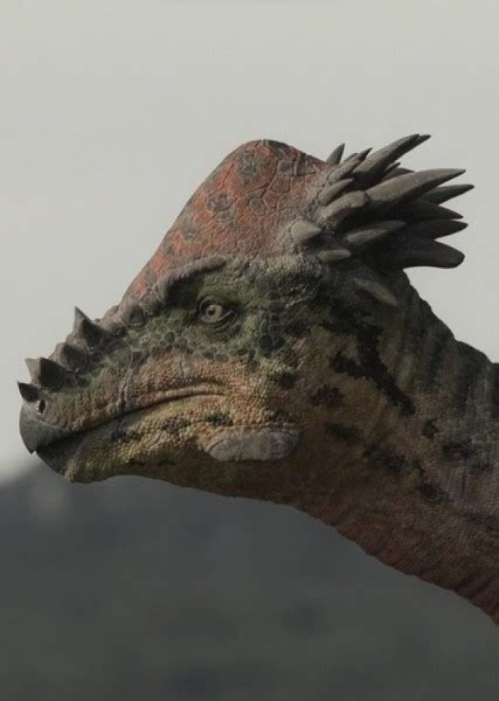 Pachycephalosaurus Fan Casting