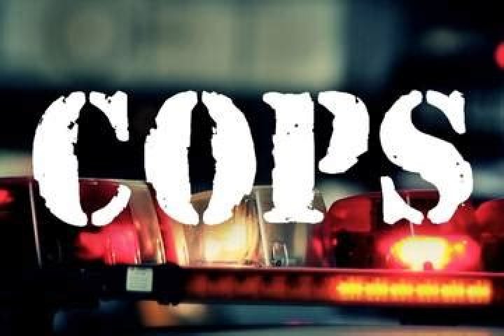 Paramount Cops 2020 TV Show