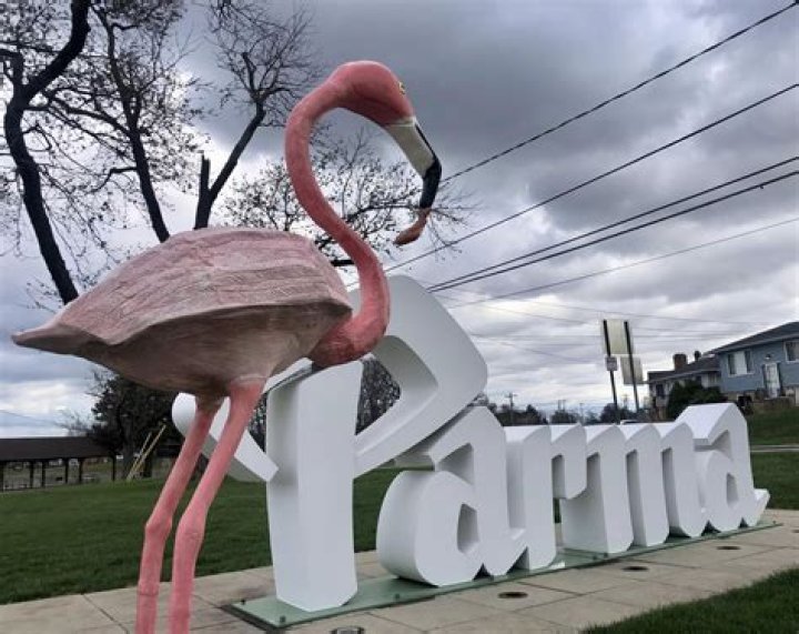 Parma family upset that city threatens jail over tax dispute