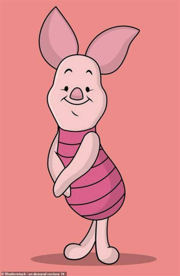 Pasu Dress Piglet CouCoo