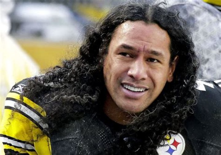 Paul Zeise Troy Polamalu shouldn't be in Steelers Hall of Honor until