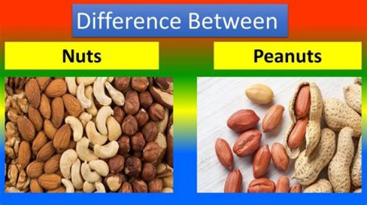 Peanuts And Groundnuts: Understanding The Differences And Their Benefits