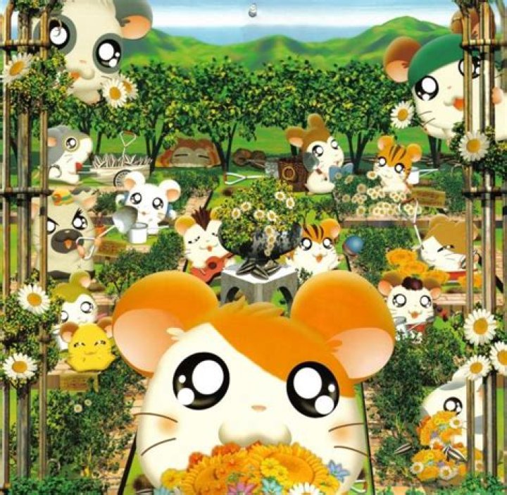 Penelope The Hamtaro Wiki Fandom