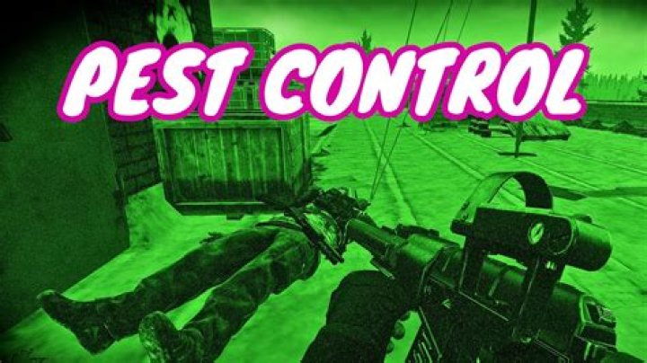 Pest Control Task Guide Escape From Tarkov YouTube