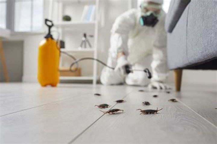 Pest Control The Official Escape from Tarkov Wiki