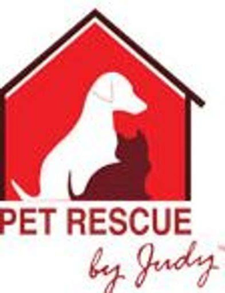 Pet Rescue by Judy erects new milliondollar animal shelter in Sanford