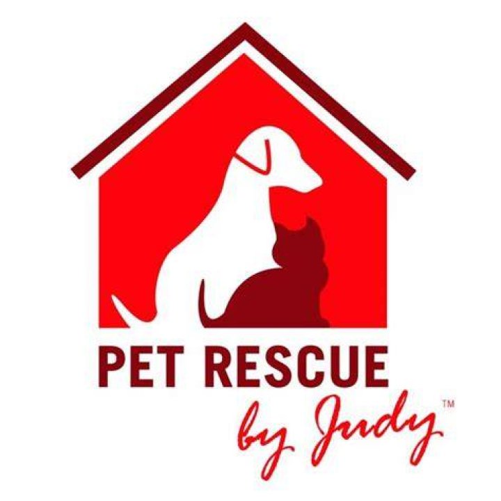 pet rescue by judy facebook Emmy Homan