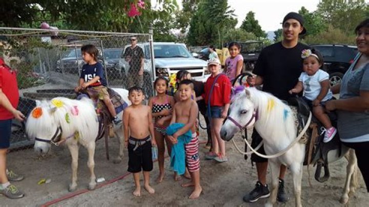 Petting Zoo And Pony Rides At Lemos Farm in Half Moon Bay