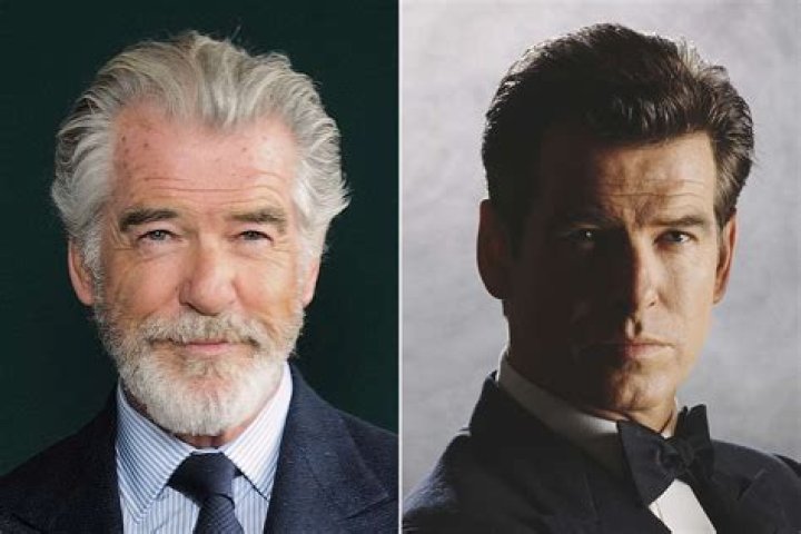 Pierce Brosnan Image