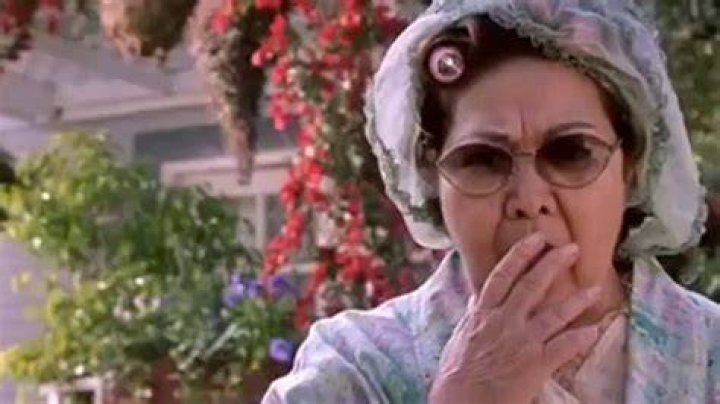 Pilar Schneider Dead Mother of Rob Schneider Was 91