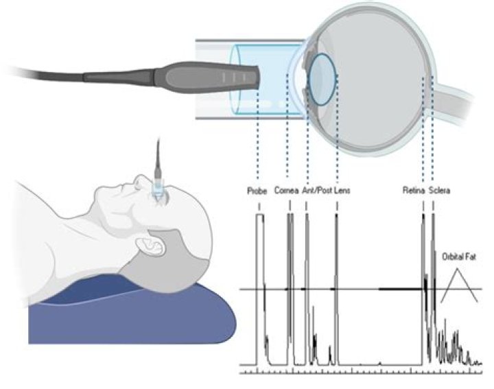Pilar SCHNEIDER PhD Quantitative Biometry