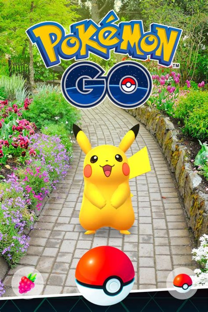 Pokemon Go Poster