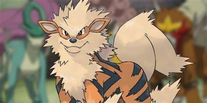Pokemon Theory Arcanine Supposed To Be Legendary Beasts Gen 1 Trio