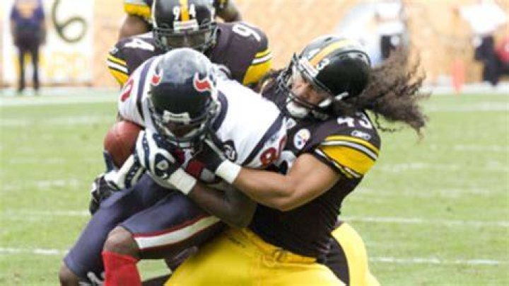 Polamalu named AFC Defensive Player of the Week