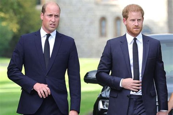 Prince William And Prince Harry Were Never The Same After Diana's Death