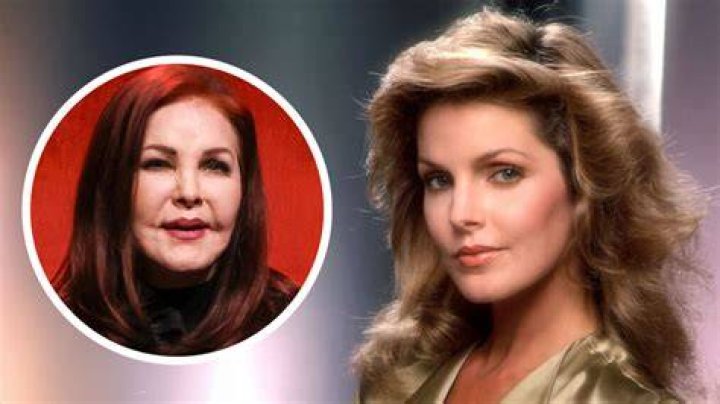 Priscilla Presley as Meredith Grey in Grey's Anatomy (1975-1993)