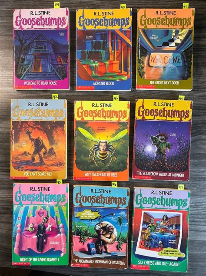 R L Stine Goosebumps Books Classic Horror Movies (1)