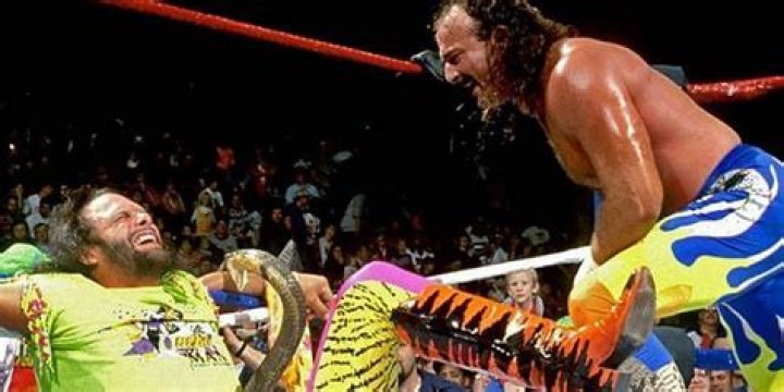 Randy Savage Jake Roberts The Snake Bite 