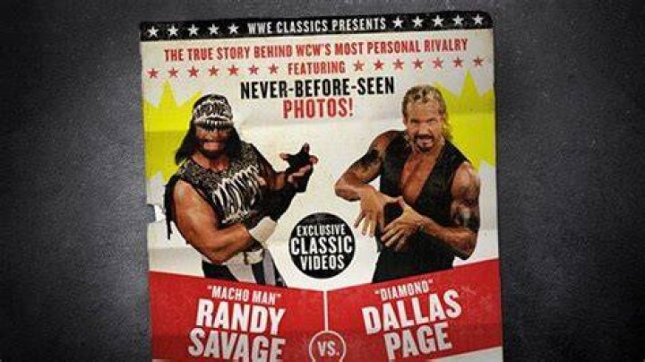 Randy Savage vs Diamond Dallas Page