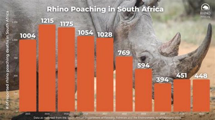 Real or fake: Did lions eat 3 suspected Rhino poachers in SA?