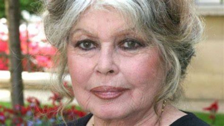 Recent Photos Of Brigitte Bardot's Son A Glimpse Into His Life