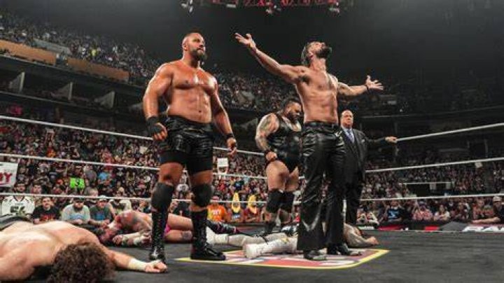 ric flair and seth rollins