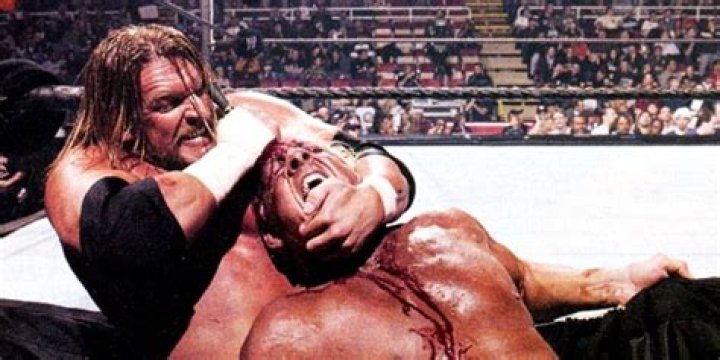 Ric Flair v Triple H Taboo Tuesday 2005 Cropped
