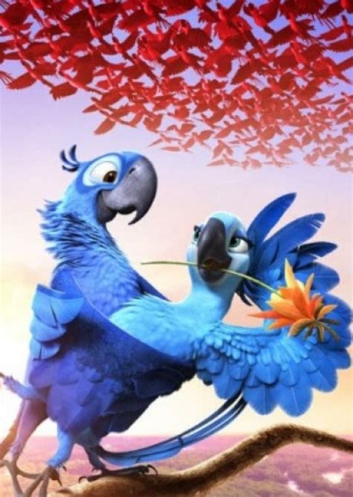 Rio 3: Tropical Vacation
