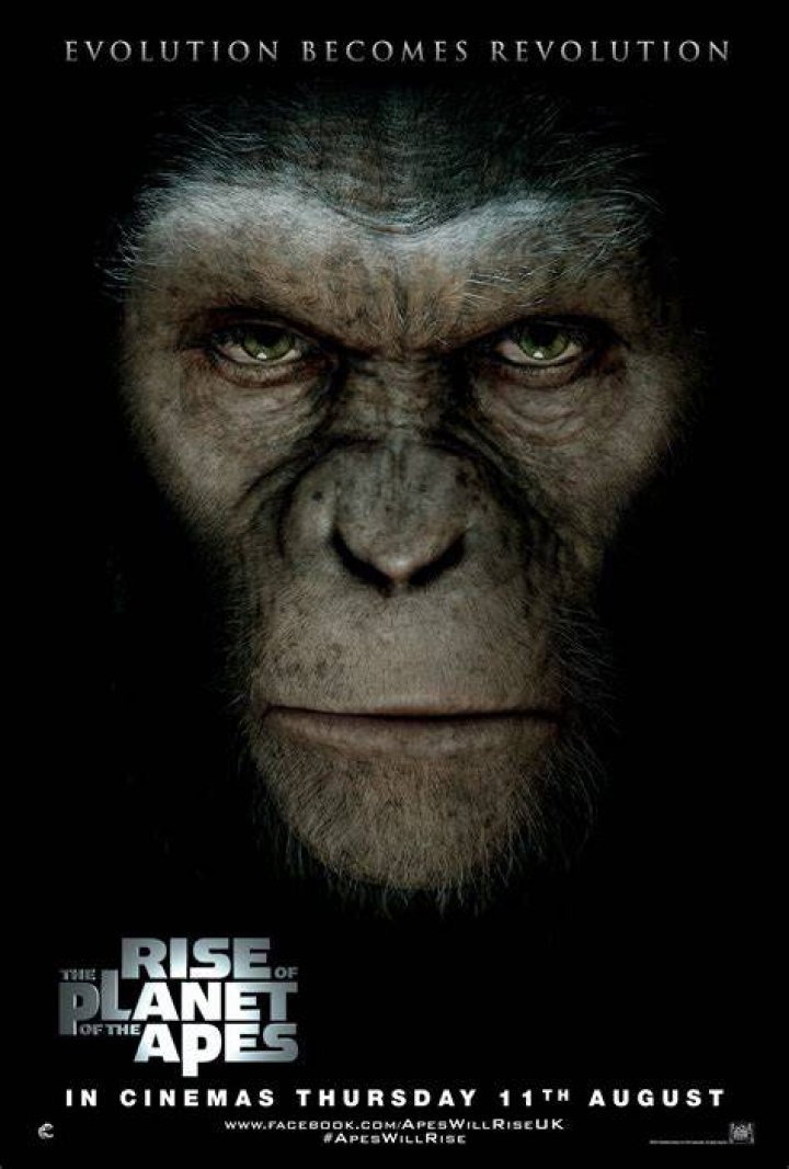 rise of the planet of the apes poster