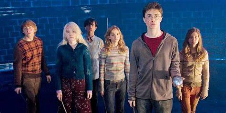 Ron, Luna, Neville, Hermione, Harry, and Ginny At The Ministry Of Magic (Harry Potter and the Order of the Phoenix)