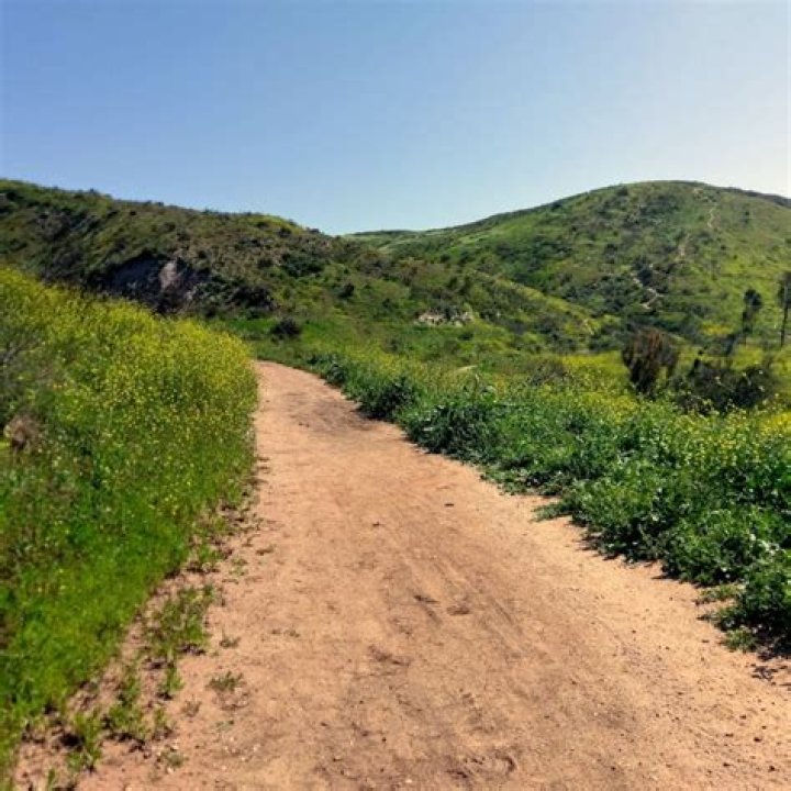 Santiago Oaks Regional Park Enjoy OC