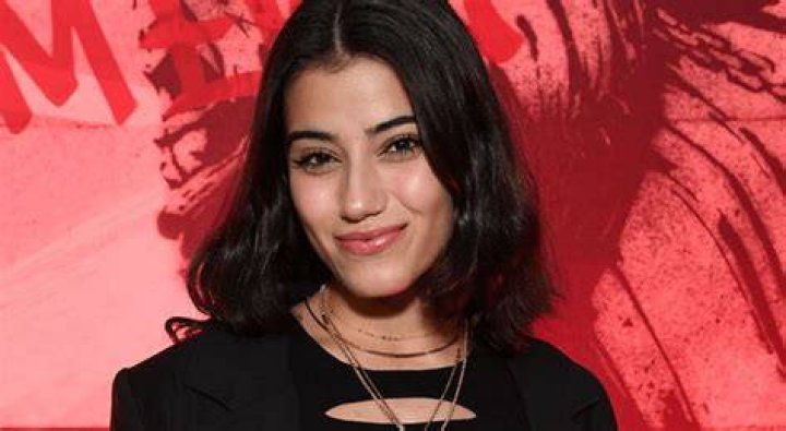 Sara Saffari Unveiling Her Ethnicity, Age Aitechtonic