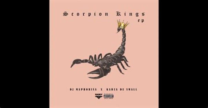 Scorpion Kings: DJ Maphorisa & Kabza De Small Drop Album, SA Reacts