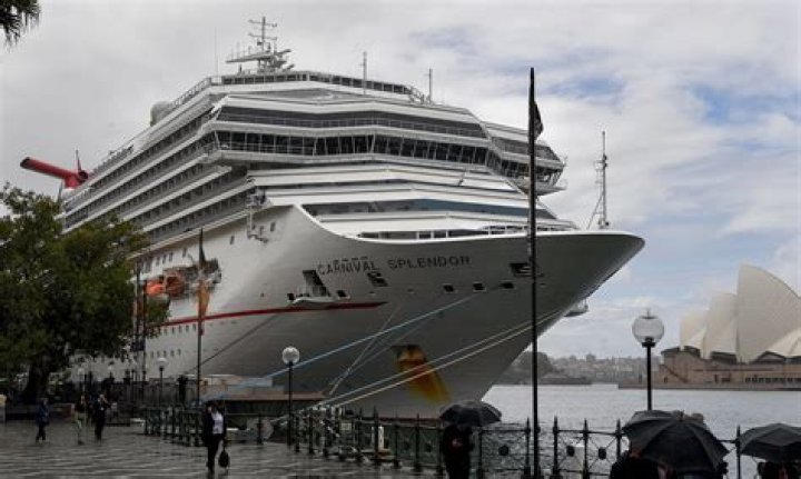 Search underway for passenger who jumped from cruise ship in Hawke's Bay