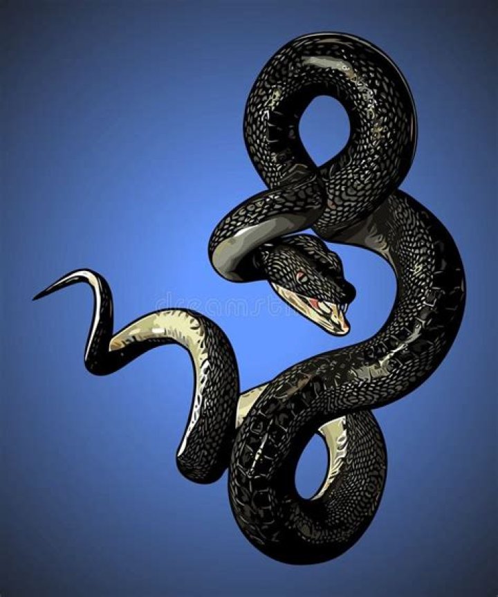 Share more than 76 snake wrapped around wrist tattoo in.eteachers