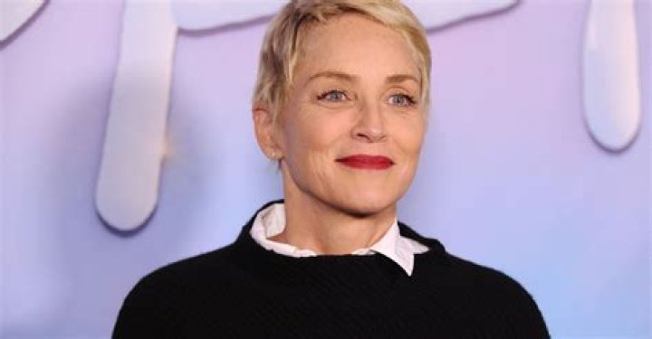Sharon Stone Net worth, Age: Bio-Wiki, Soulmate, Kids, Weight