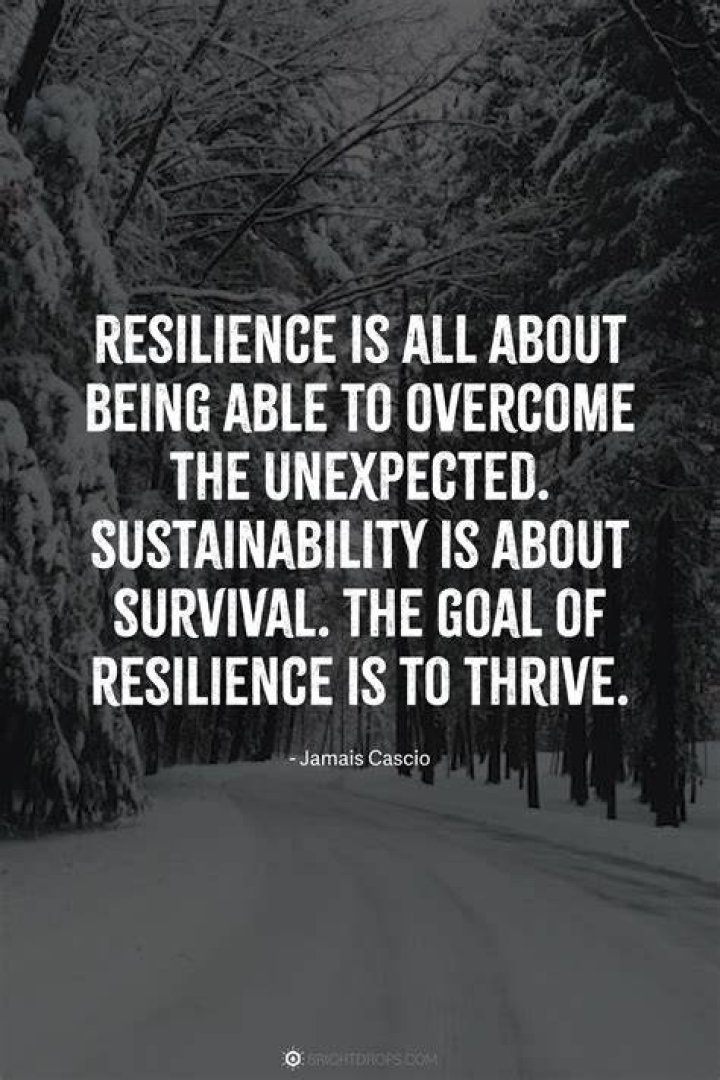 Shasta Groene Husband: A Journey Through Love And Resilience