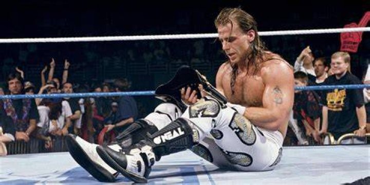 Shawn Michaels as WWE Champion.