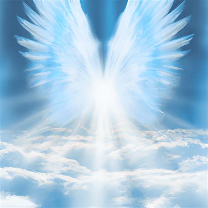 Shining light with angel's wings Shining light with angel's wings