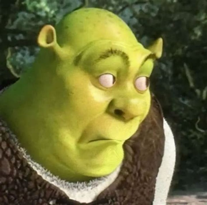 Shrek looking angry/confused