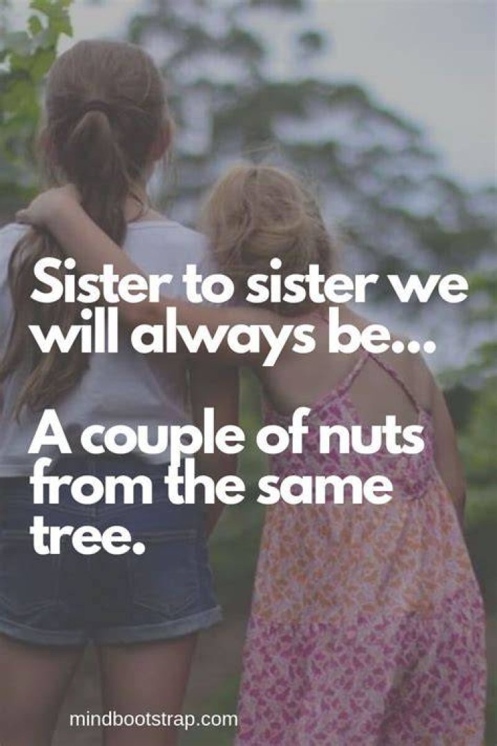 Sister quotes funny, Sister quotes, Sisters quotes