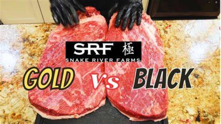 Snake River Farms Black vs Gold Brisket Lone Star Grillz 24 x 40