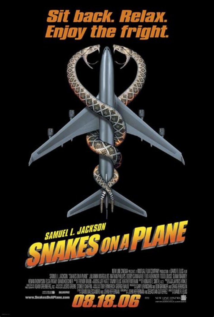 Snakes on a Plane 2006 Snakes in Airplane Aisle
