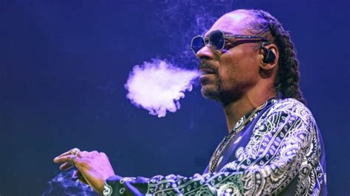 Snoop Dogg blew PR smoke for a fire pit brand did it work? The Drum