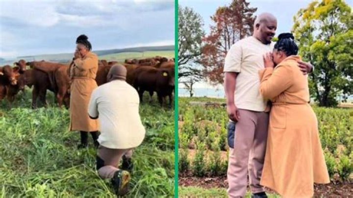 South African Man Wows With Unique Farm Marriage Proposal, TikTok Video Gets 2 Million Views