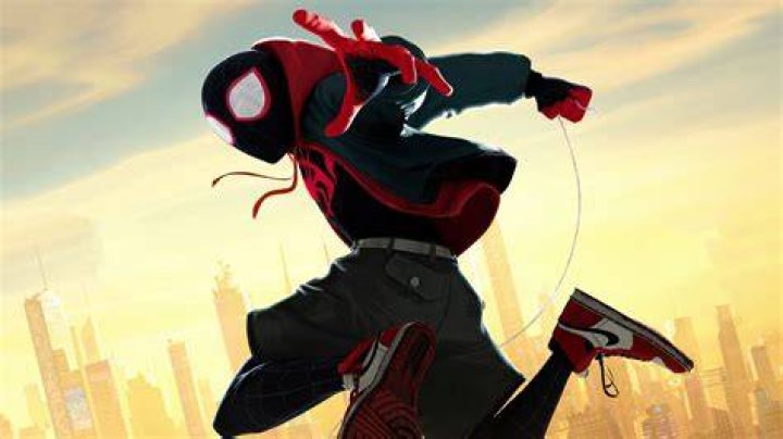 Spider-Man Into the Spider Verse Live Action