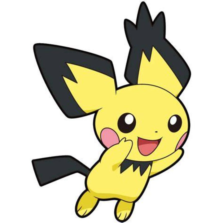 Spiky Eared Pichu Pokemon