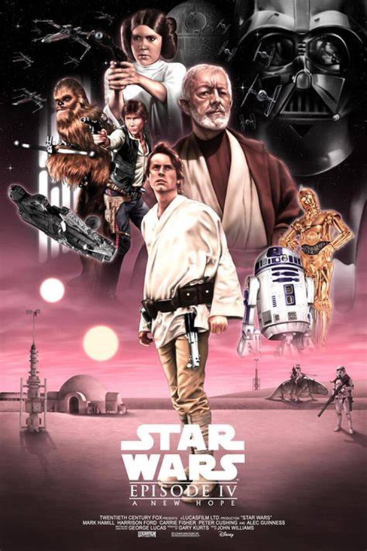 Star Wars A new Hope Princess Leia Hair Buns